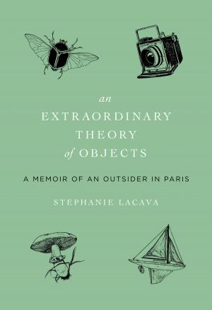 Cover of the book Extraordinary Theory of Objects by Tessa Hadley