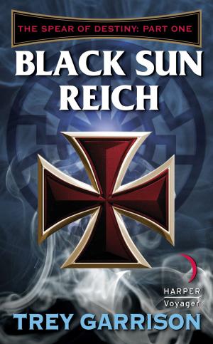 bigCover of the book Black Sun Reich by 
