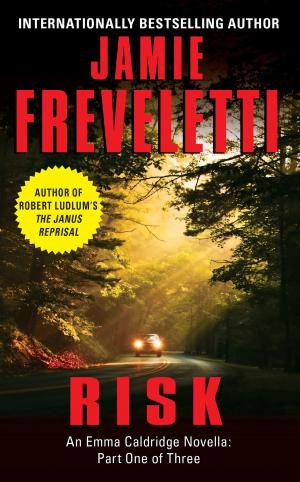 Cover of the book Risk by Paul Féval