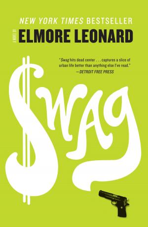Cover of the book Swag by Mary J Shomon
