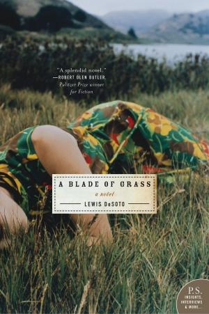 Cover of the book A Blade of Grass by Thierry Cruvellier