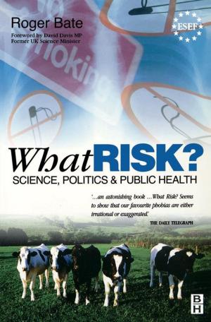 Cover of the book What Risk? by Mohammed Al-Mualla, C. Nishan Canagarajah, David R. Bull