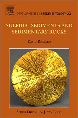 Cover of the book Sulfidic Sediments and Sedimentary Rocks by Rafael Yanushevsky, Camilla Yanushevsky