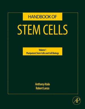 Cover of the book Handbook of Stem Cells by Sina Ebnesajjad