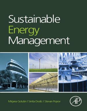 Cover of the book Sustainable Energy Management by Catherine Courage, Kathy Baxter