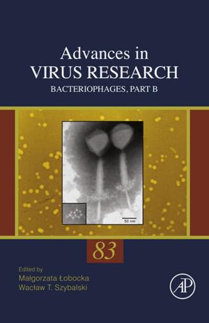 Cover of the book Bacteriophages, Part B by John R. Vacca