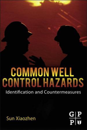 Cover of the book Common Well Control Hazards by Basil Jarvis