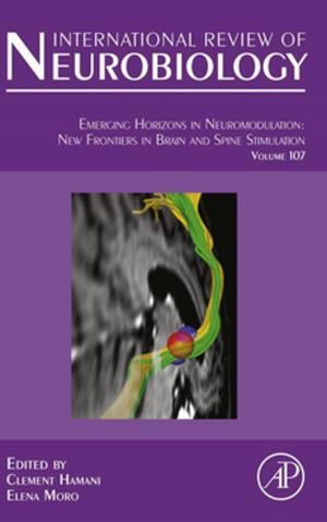 Cover of the book Emerging Horizons in Neuromodulation by Andreas Klamt