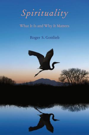 Cover of the book Spirituality by Donna B. Pincus, Jill T. Ehrenreich, Sara G Mattis