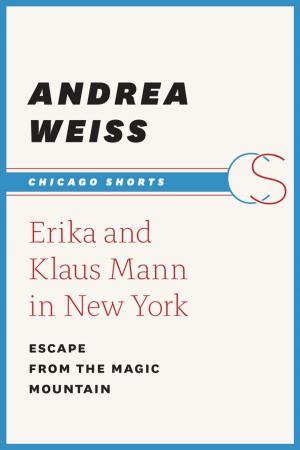 Cover of the book Erika and Klaus Mann in New York by Veit Heinichen, Ami Scabar