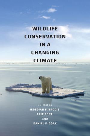 Cover of the book Wildlife Conservation in a Changing Climate by Debra Hawhee