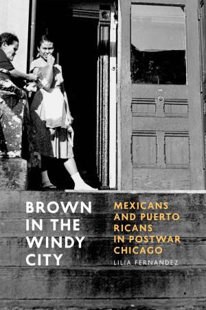 Cover of the book Brown in the Windy City by Leo Strauss