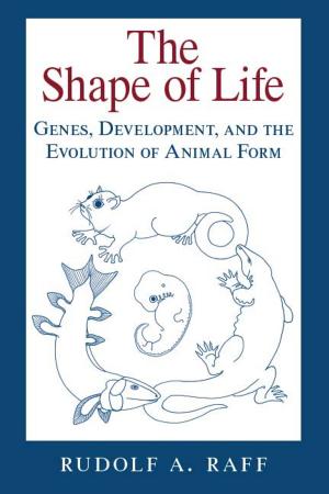 Cover of the book The Shape of Life by Bowen Paulle