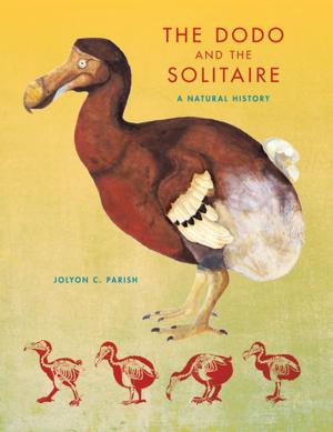 Cover of the book The Dodo and the Solitaire by Russell Grieger