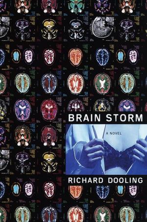 Cover of the book Brain Storm by Stephen Hunter