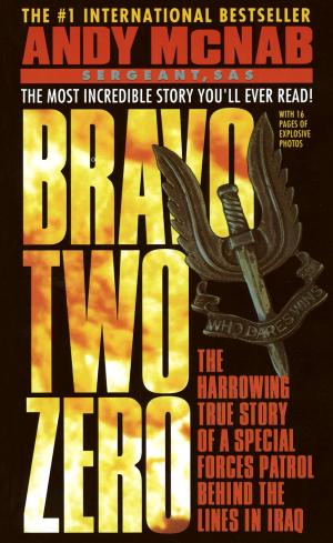 Cover of the book Bravo Two Zero by Amy E. Dean