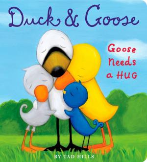 Cover of the book Duck & Goose, Goose Needs a Hug by Jeff Zentner