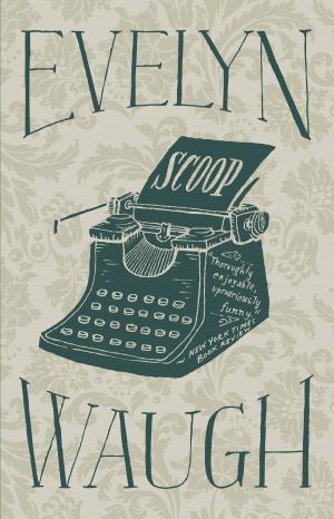 Cover of the book Scoop by Karen Ellis