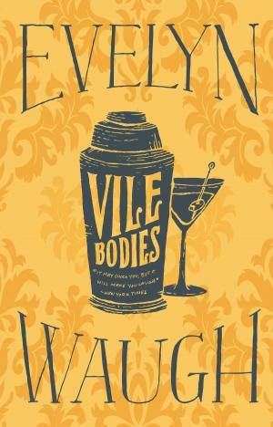 Cover of the book Vile Bodies by Karen Ellis
