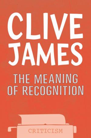 Cover of the book The Meaning of Recognition by Andrew Lane