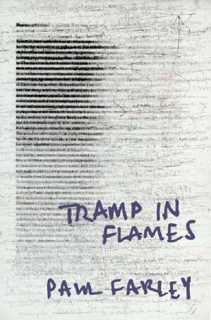 Cover of the book Tramp in Flames by Stephen Inwood
