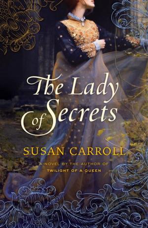 Book cover of The Lady of Secrets