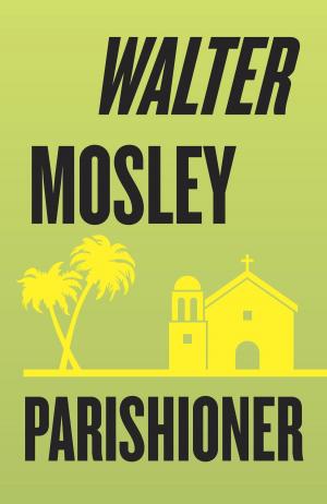 Cover of the book Parishioner by Alice Adams