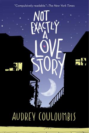 Cover of the book Not Exactly a Love Story by Andy Stanton