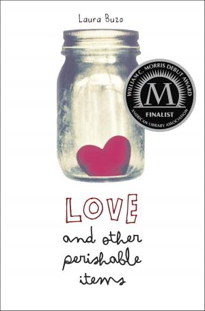Cover of the book Love and Other Perishable Items by Gary Paulsen