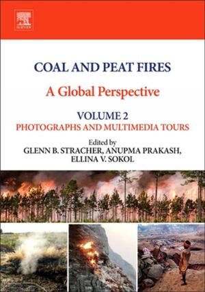 Cover of the book Coal and Peat Fires: A Global Perspective by Jerome Miller, Radford Jones