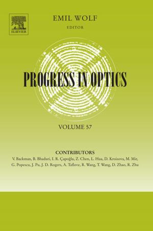 Cover of the book Progress in Optics by Ali Akbar Velayati, Parissa Farnia