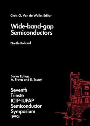Cover of the book Wide-band-gap Semiconductors by Christian Metallo