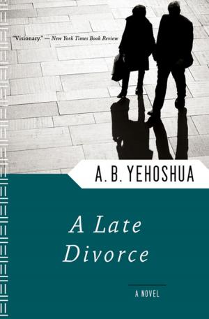 Cover of the book A Late Divorce by Amos Oz