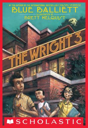 Book cover of The Wright 3