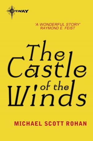 Book cover of The Castle of the Winds