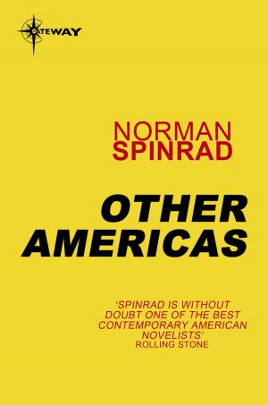 Book cover of Other Americas