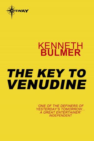Cover of the book The Key to Venudine by Maureen Lee