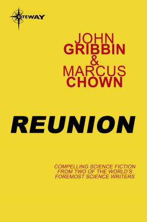 Cover of the book Reunion by Rebecca Shaw