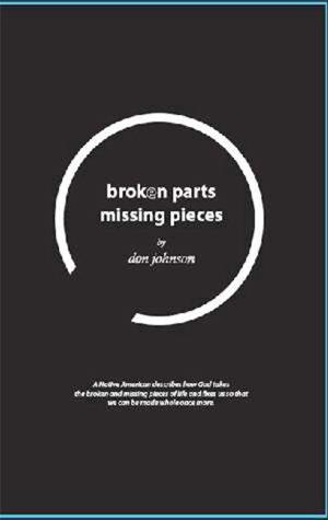 Book cover of Broken Parts Missing Pieces
