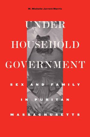 Cover of the book Under Household Government by David J. Silverman
