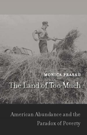 Cover of the book The Land of Too Much by Anthony Kaldellis