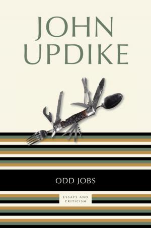 Book cover of Odd Jobs