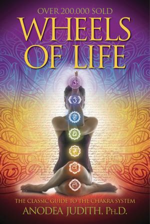 Cover of the book Wheels of Life: A User's Guide to the Chakra System by D.J. Conway