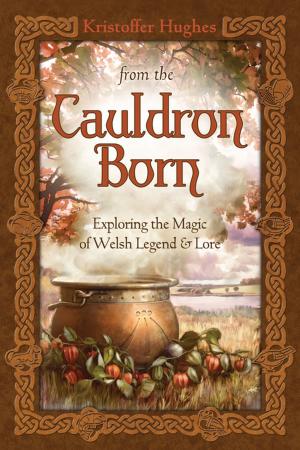 Book cover of From the Cauldron Born