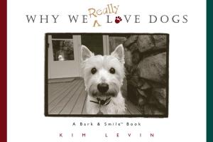 Cover of the book Why We Really Love Dogs by Dimity McDowell, Sarah Bowen Shea