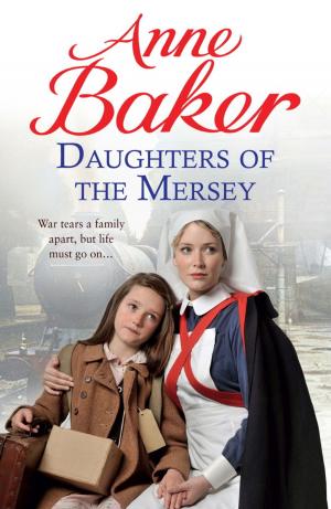Cover of the book Daughters of the Mersey by John Parker