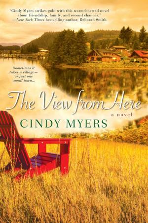 Book cover of The View From Here