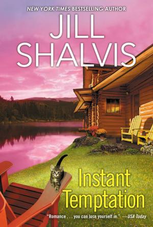 Cover of the book Instant Temptation by Ellen Hawley
