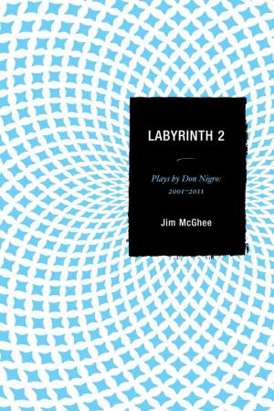 Cover of the book Labyrinth 2 by Yusuf Turan Çetiner