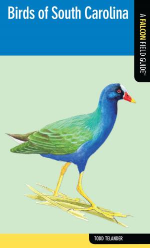 Cover of the book Birds of South Carolina by Layne Cameron